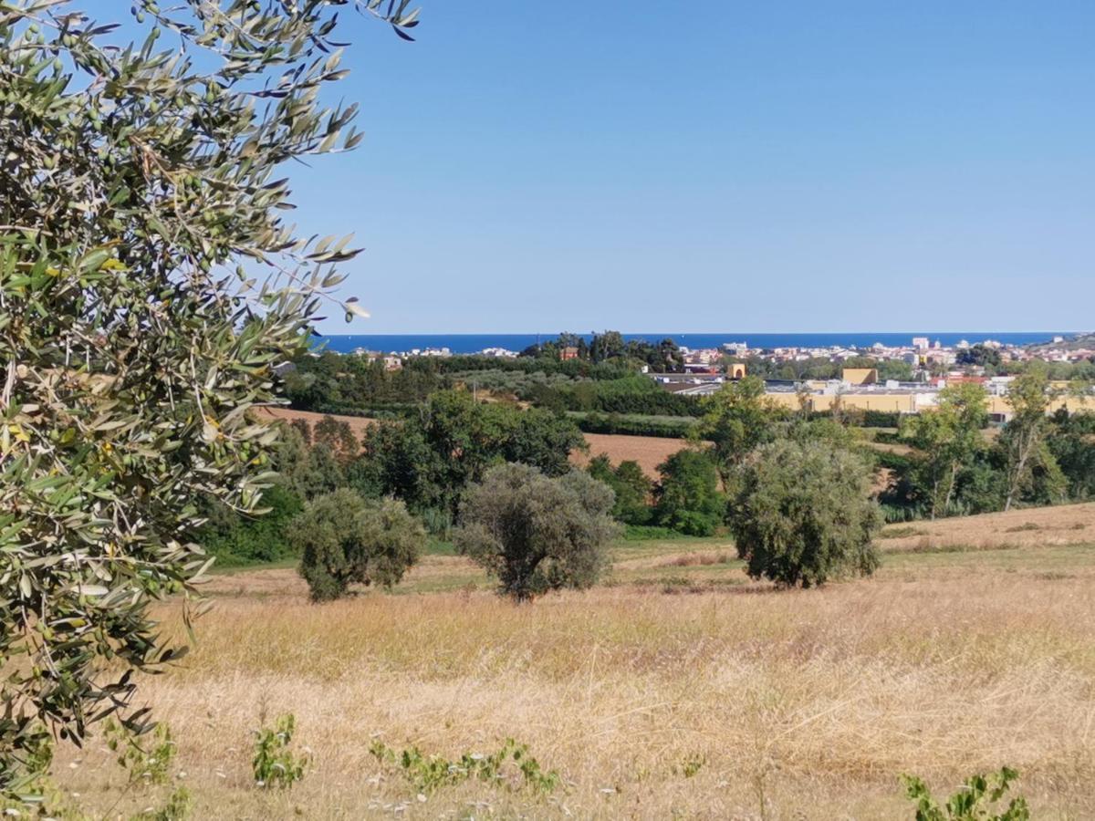 Residence Il Villaggio Del Re Corropoli Εξωτερικό φωτογραφία