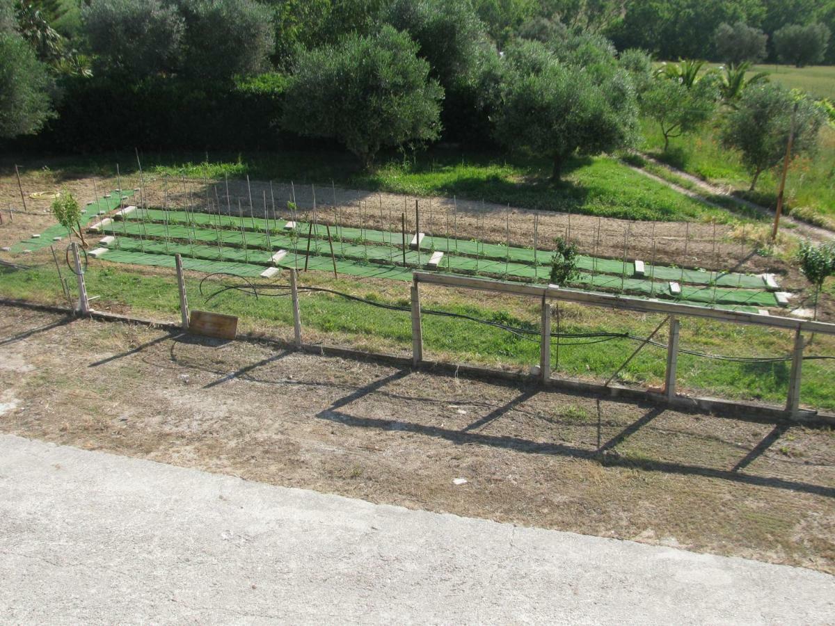 Residence Il Villaggio Del Re Corropoli Εξωτερικό φωτογραφία